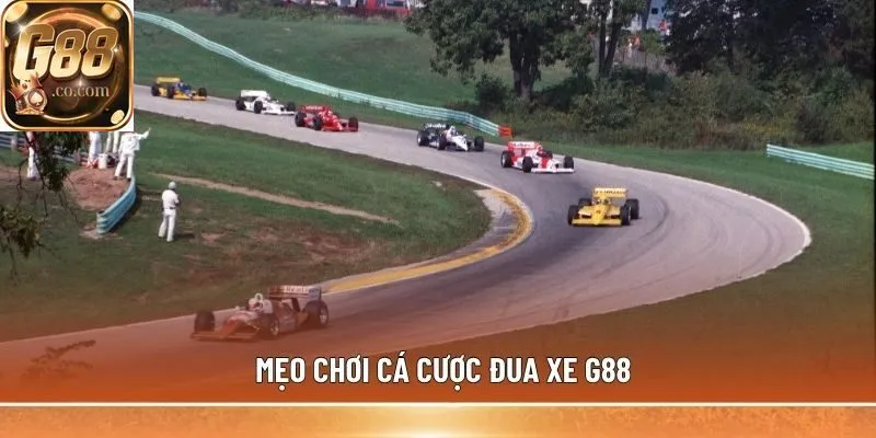 Mẹo chơi cá cược đua xe G88